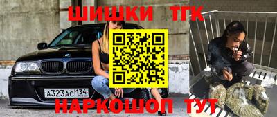 стаф Новодвинск