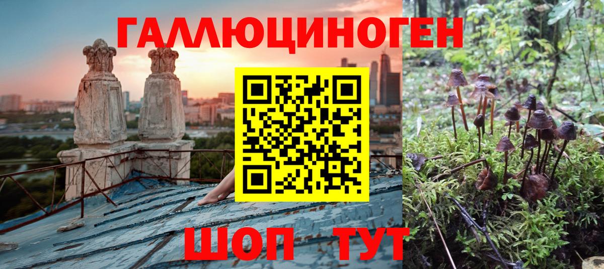 Псилоцибиновые грибы мицелий  Вход с VPN  Галлюциногенные грибы MAGIC MUSHROOMS  Усолье-Сибирское 
