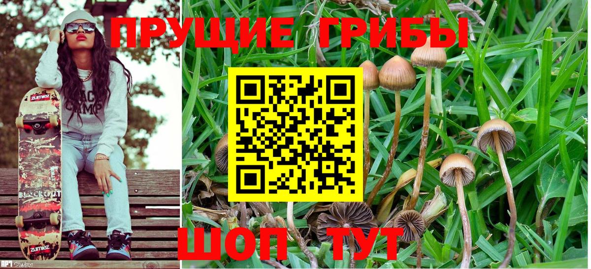 Псилоцибиновые грибы прущие грибы Усолье-Сибирское
